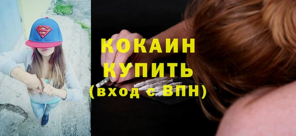 молекула духа Бородино