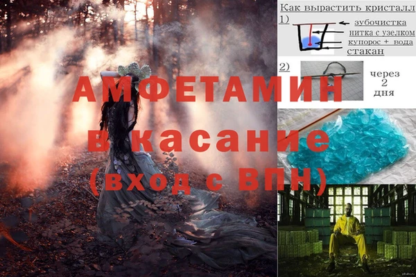 молекула духа Бородино