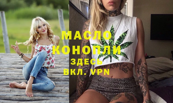 молекула духа Бородино