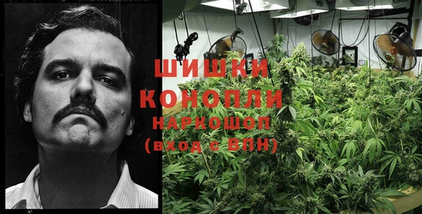 молекула духа Бородино